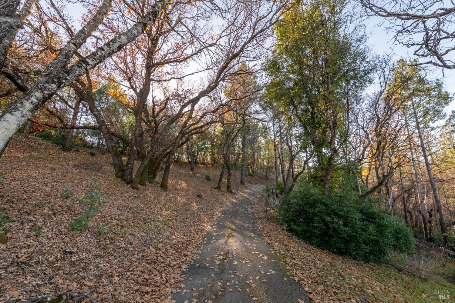 4040 Spring Mountain Rd