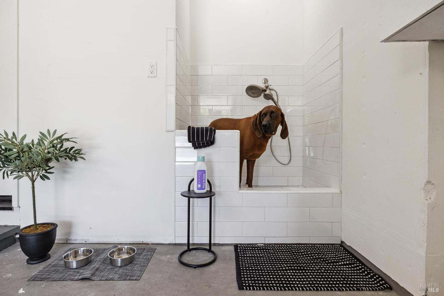 1830 Spring Mountain Rd