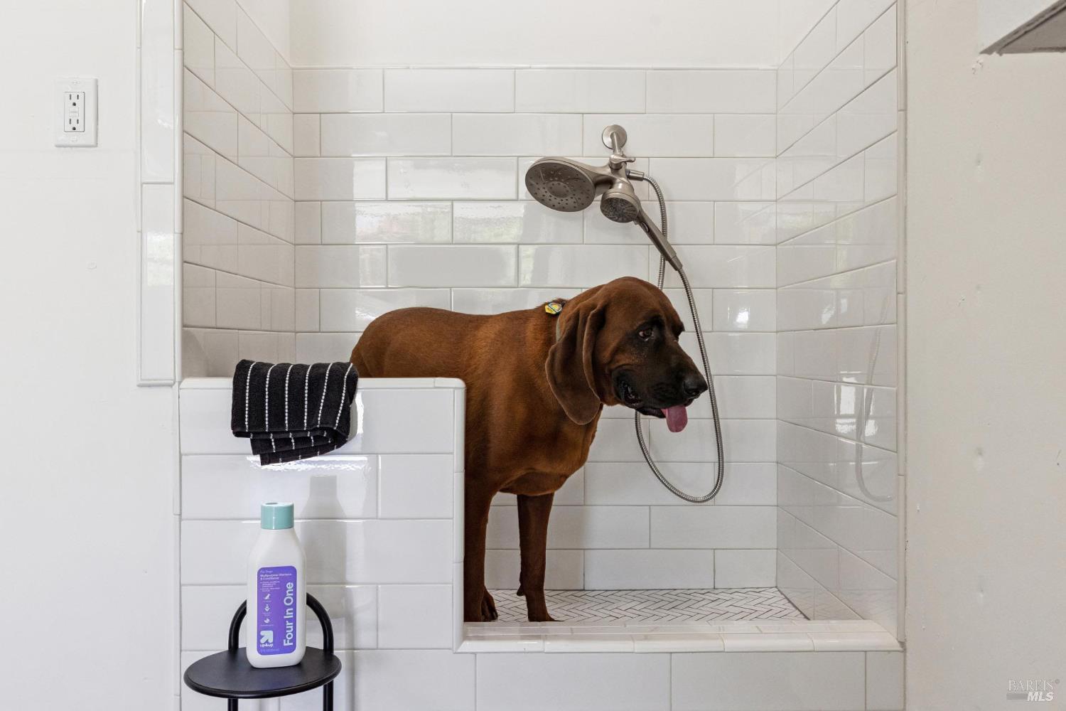 1830 Spring Mountain Rd