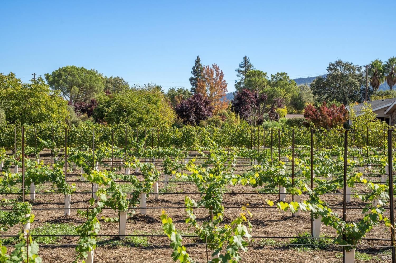 3033 Myrtledale Road