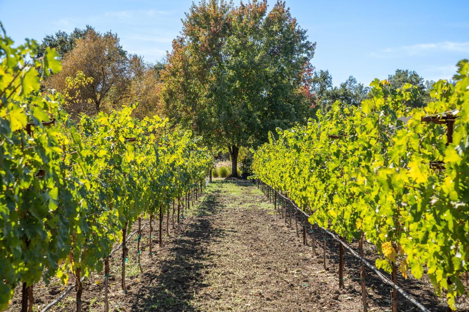 3033 Myrtledale Road