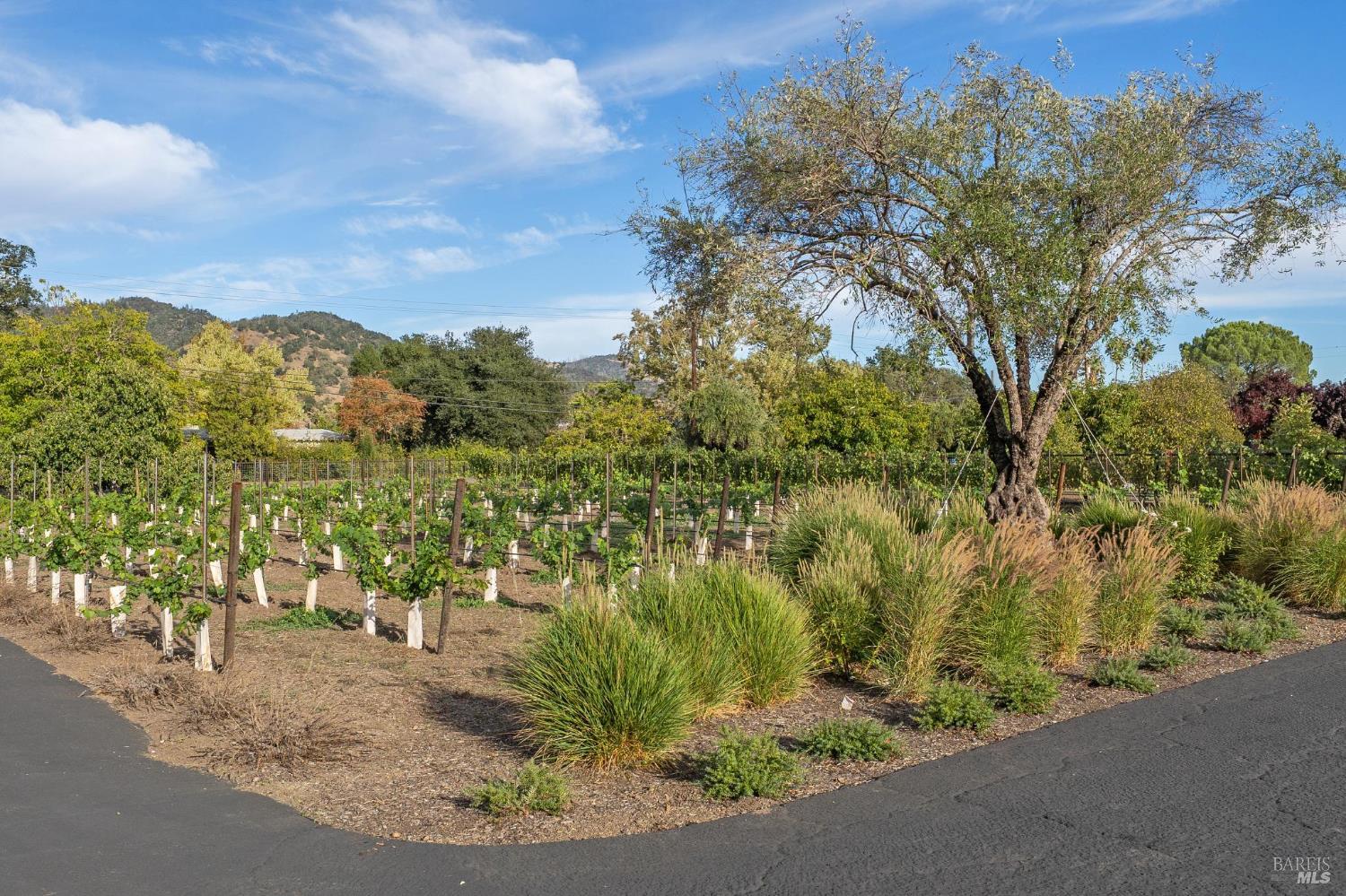 3033 Myrtledale Road