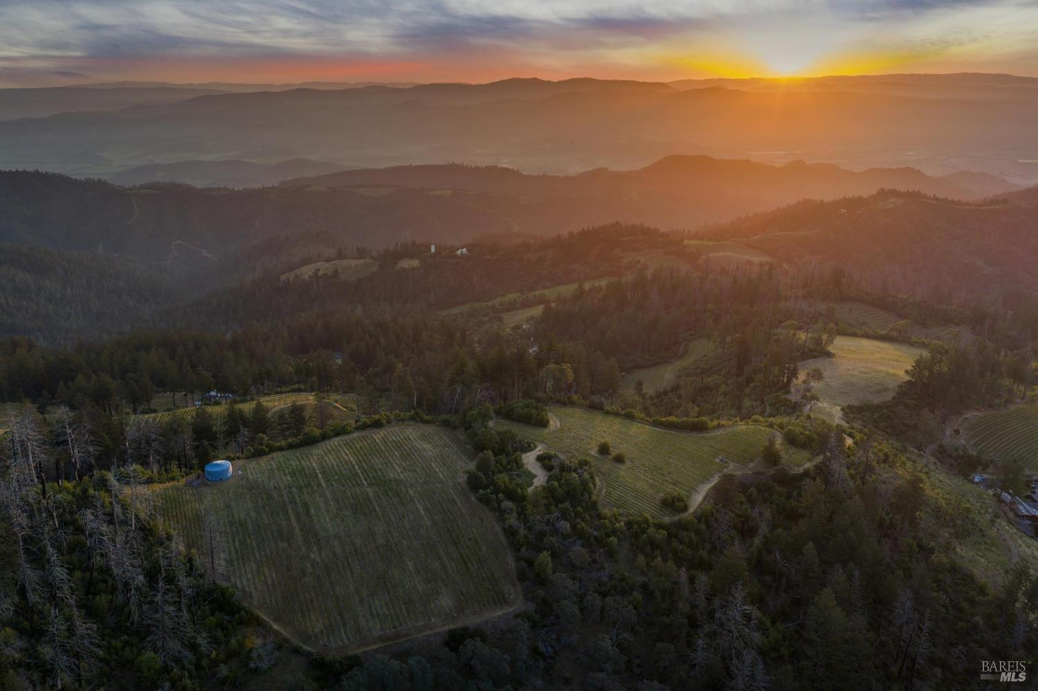 3801 Mount Veeder Road Road