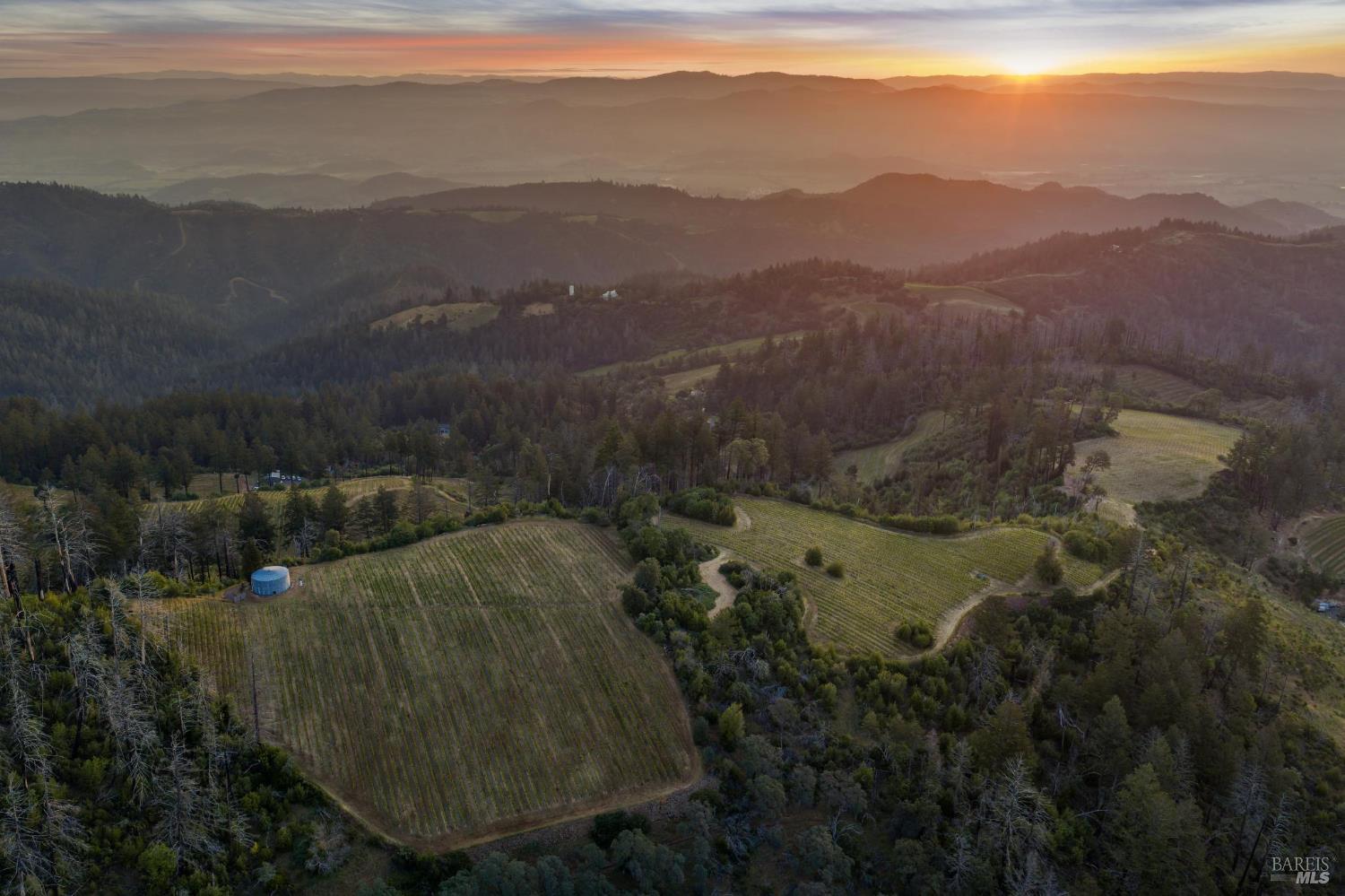 3801 Mount Veeder Road Road
