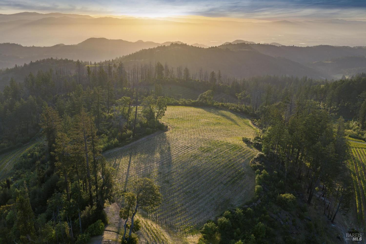 3801 Mount Veeder Road Road