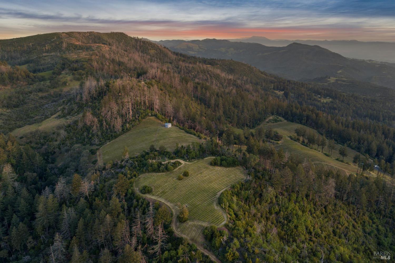 3801 Mount Veeder Road Road