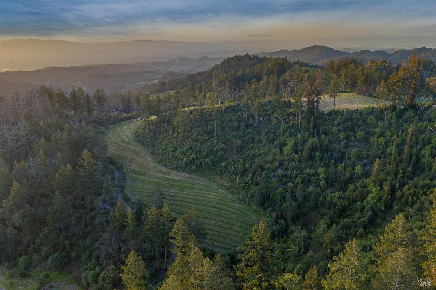 3801 Mount Veeder Road Road