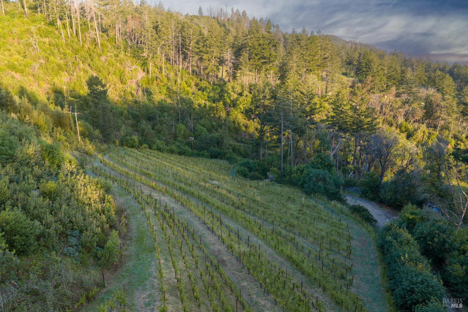 3801 Mount Veeder Road Road
