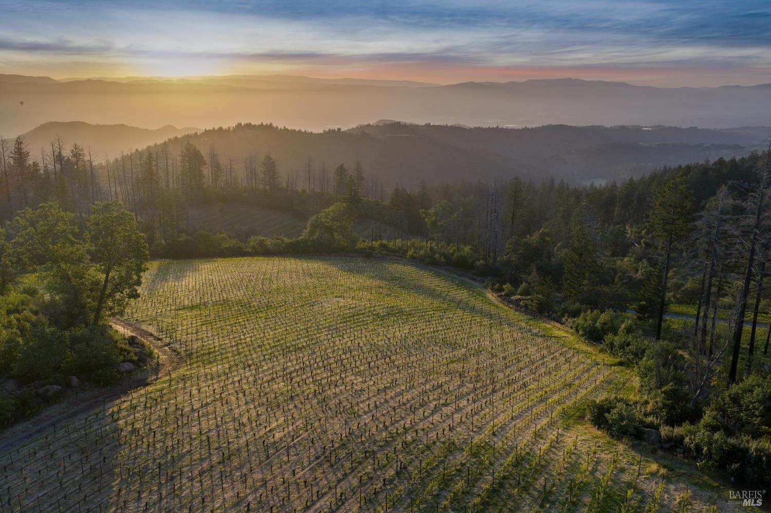 3801 Mount Veeder Road Road