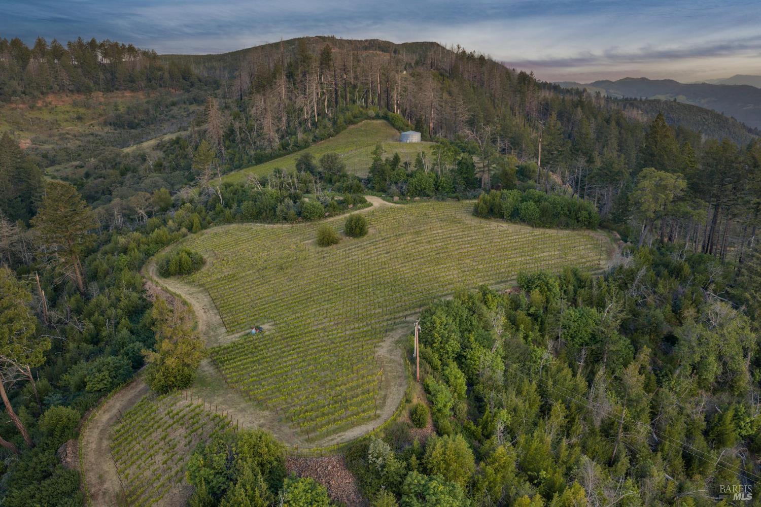 3801 Mount Veeder Road Road