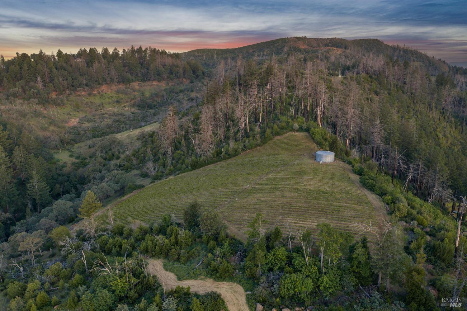3801 Mount Veeder Road Road