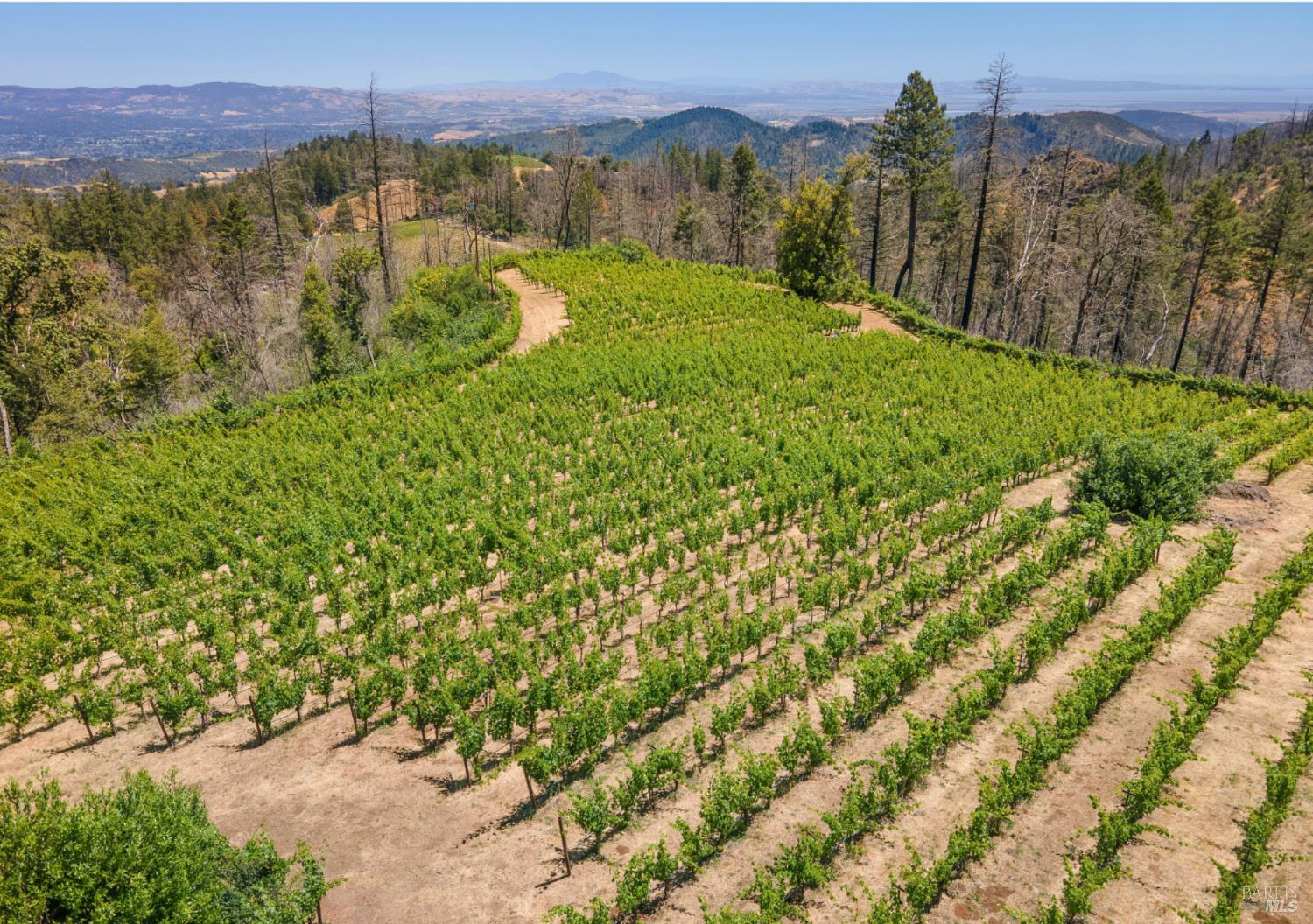 3801 Mount Veeder Road Road