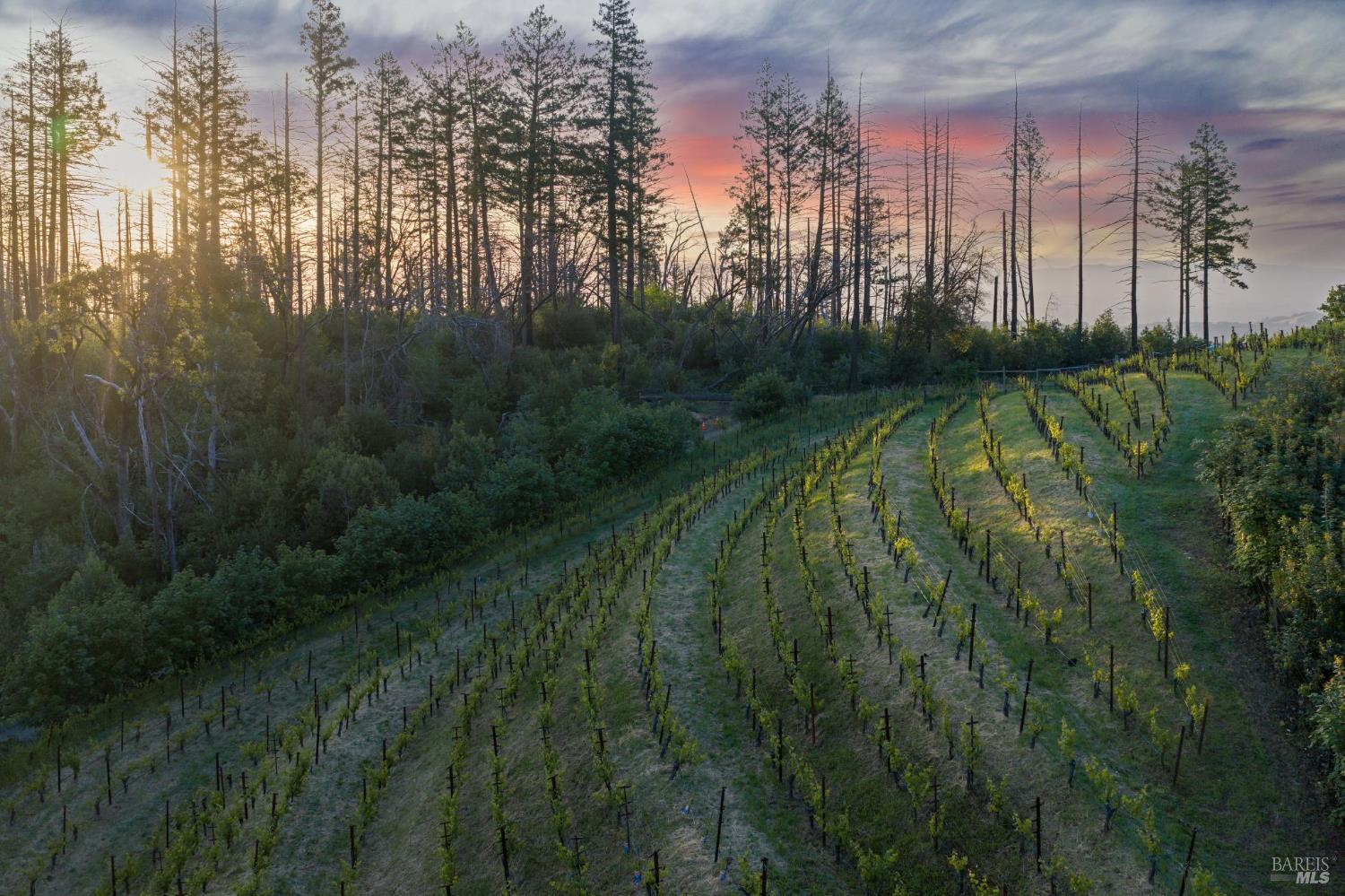 3801 Mount Veeder Road Road
