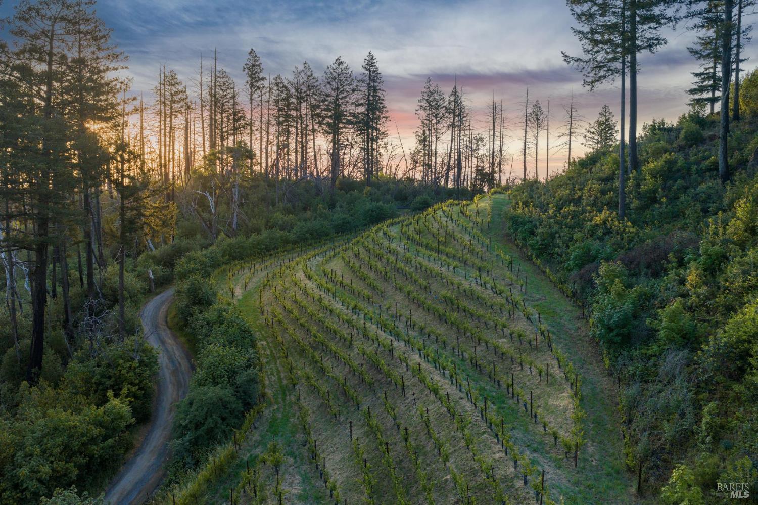 3801 Mount Veeder Road Road