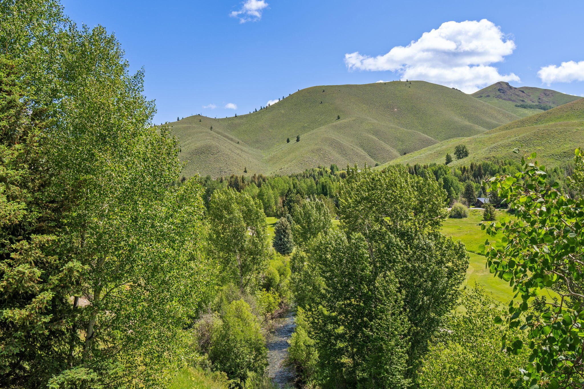 569 WILDFLOWER CONDO Dr