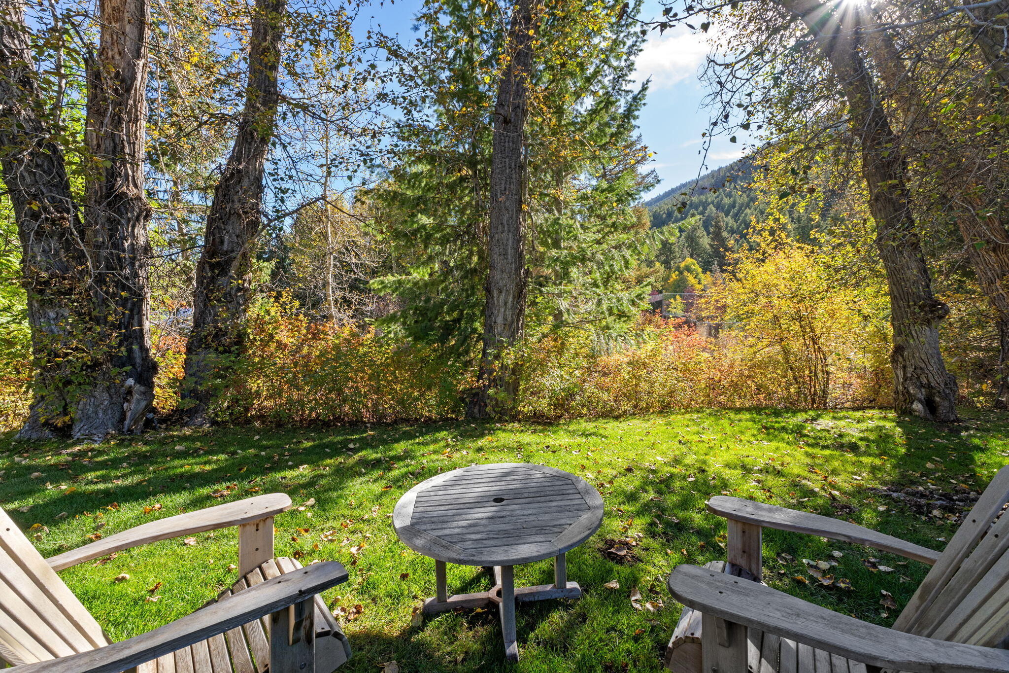 Backyard seating area with wooden Adirondack chairs and table beneath autumn trees, with a wooded hillside beyond.