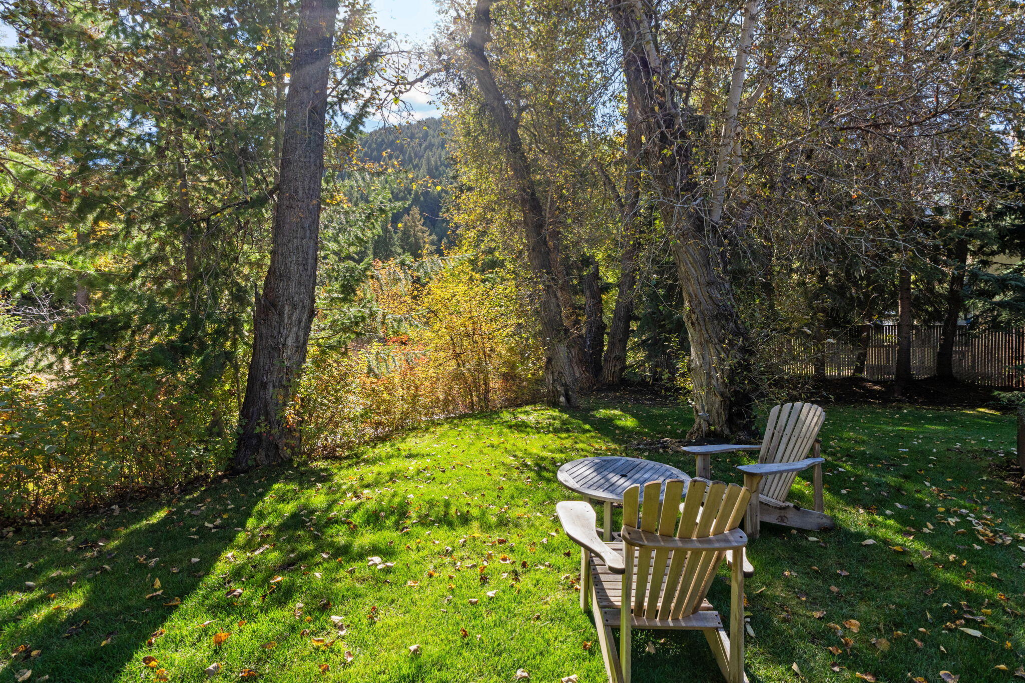 Backyard lawn beneath mature autumn trees, with Adirondack chairs and a wooded hillside beyond.