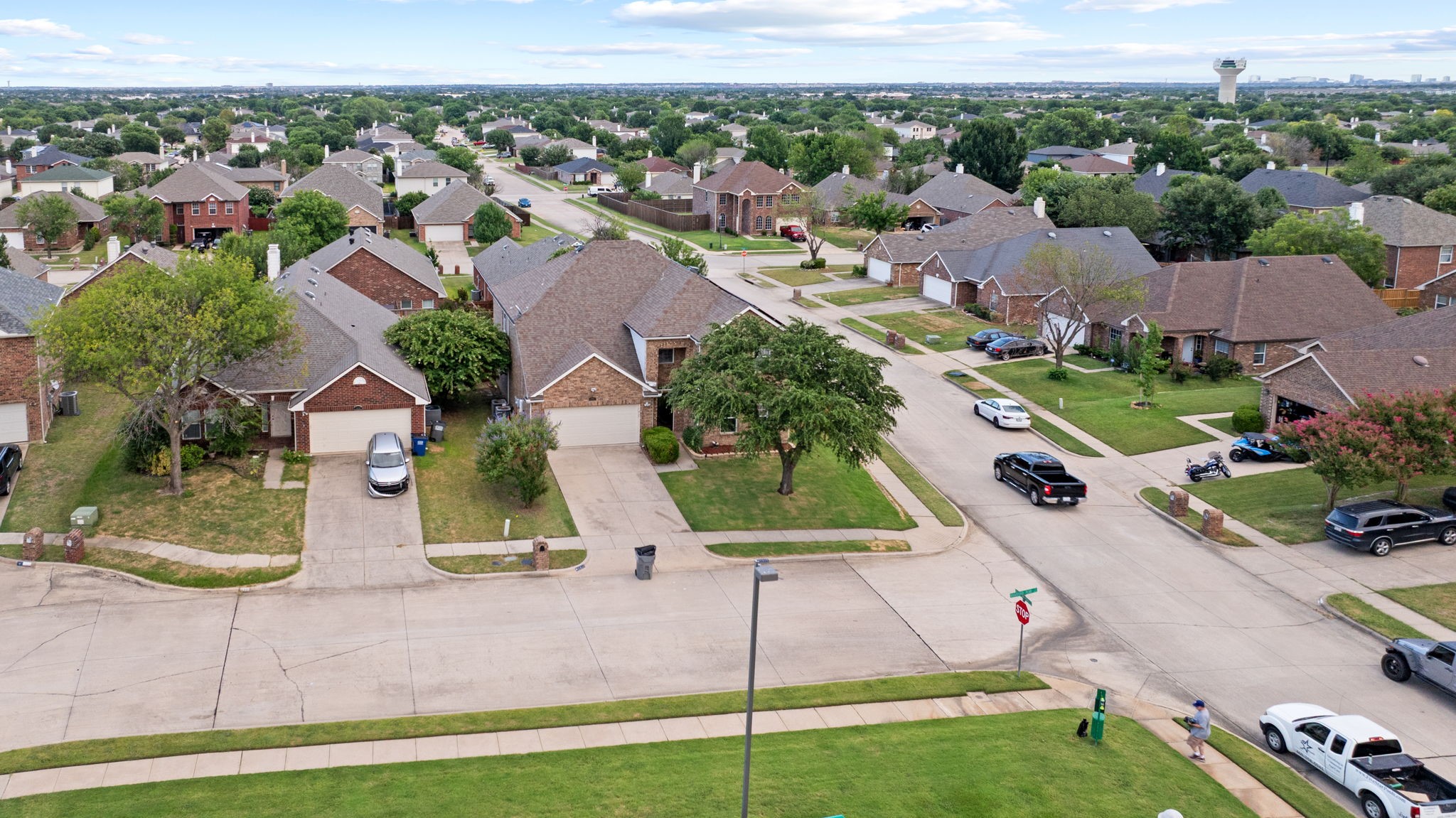 1937 Bradford Pear Square
