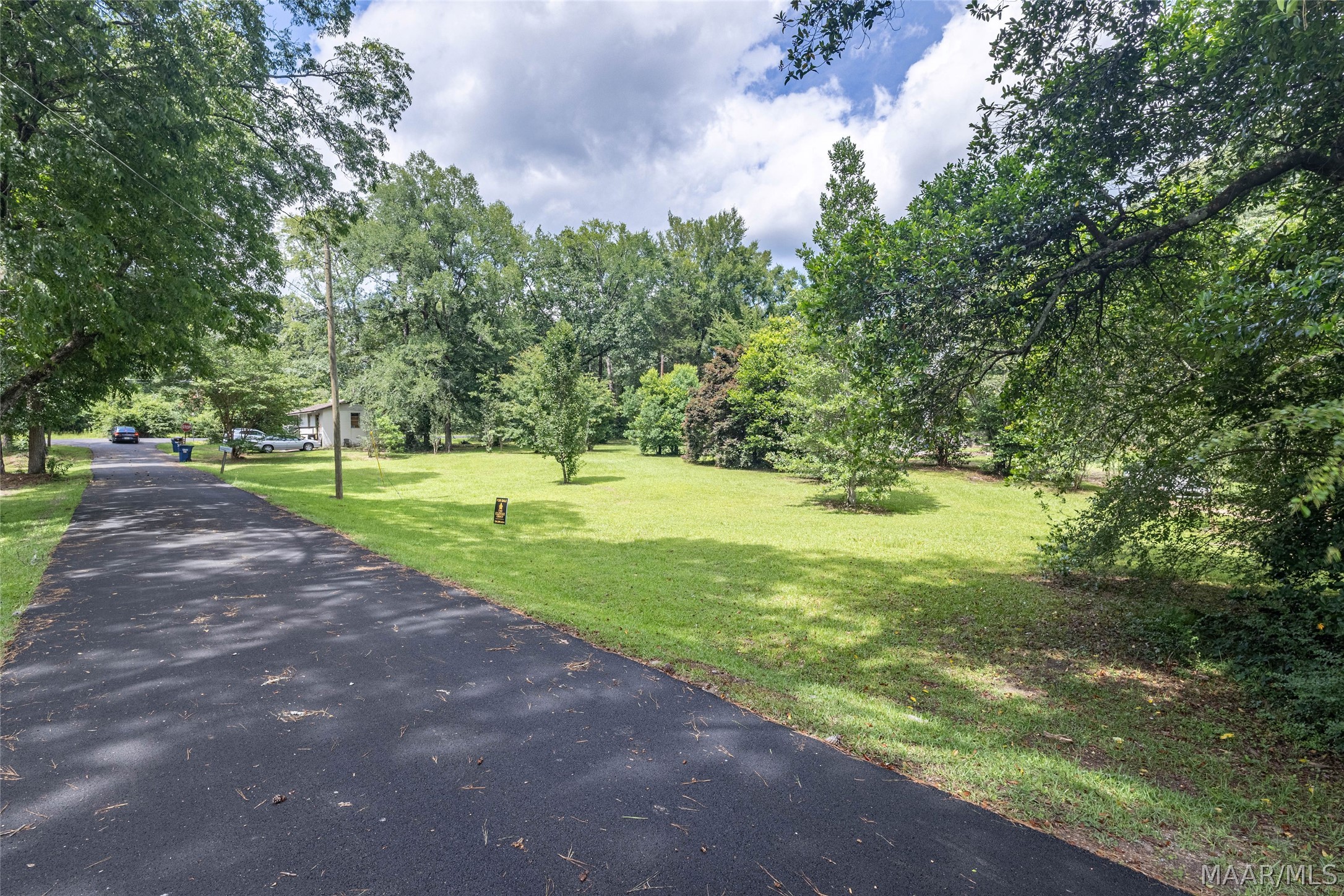 Tree-lined lawn beside a paved driveway, with a small house in the distance.