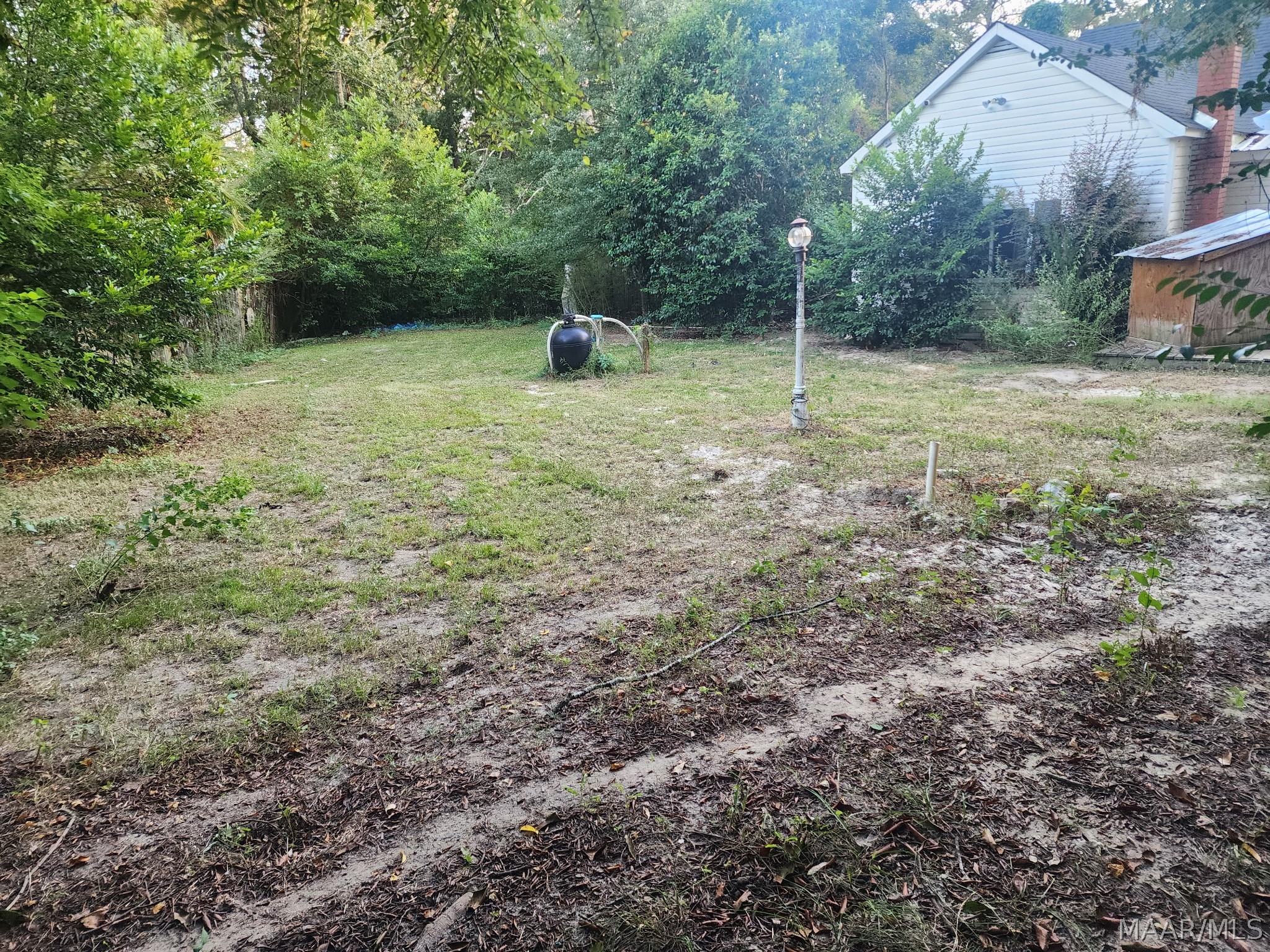 Backyard with patchy sandy lawn, dense trees, a lamp post, and a small shed beside the house.