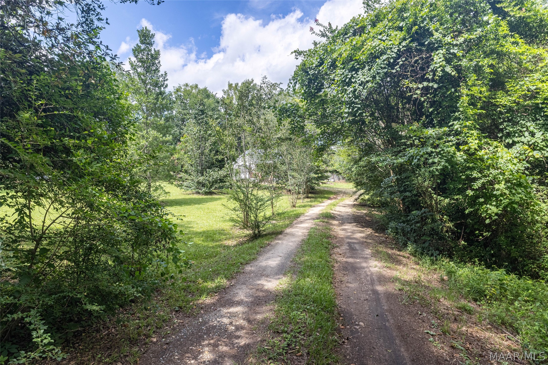 Tree-lined dirt driveway winding through a grassy yard toward a partially obscured house.