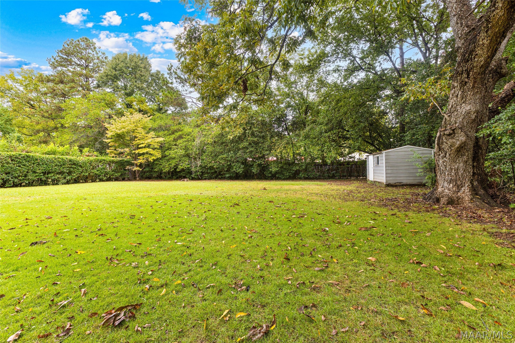 Grassy backyard with mature trees, a small gray shed, and leafy hedges.