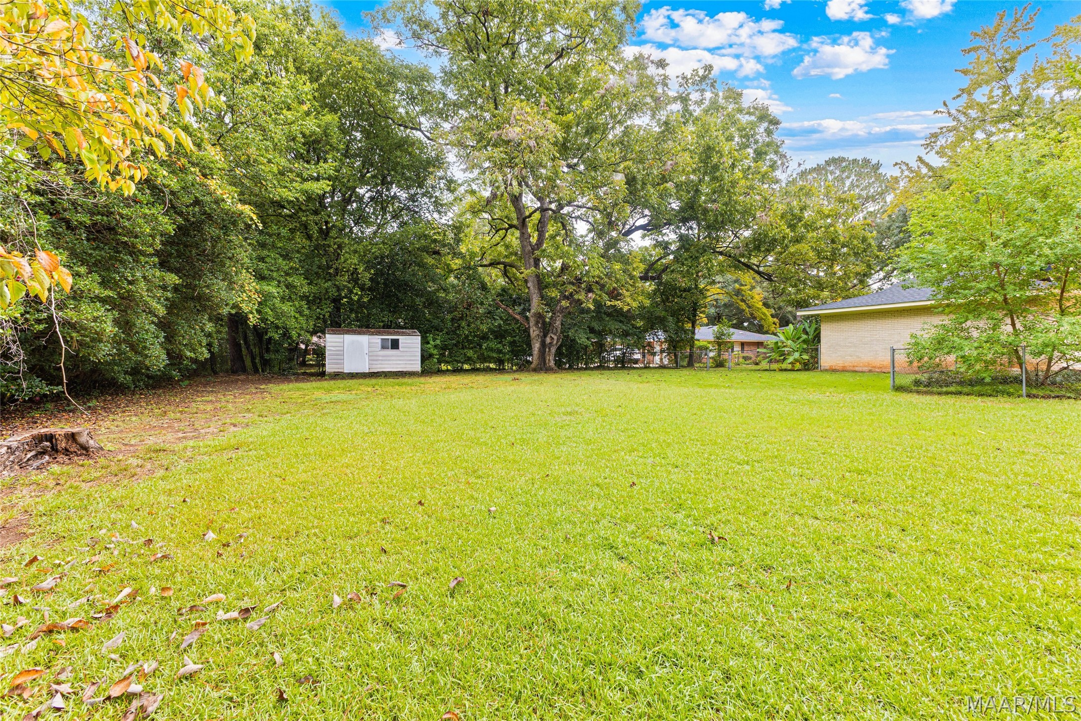 Spacious grassy backyard with mature trees, a white storage shed, and a chain-link fence.