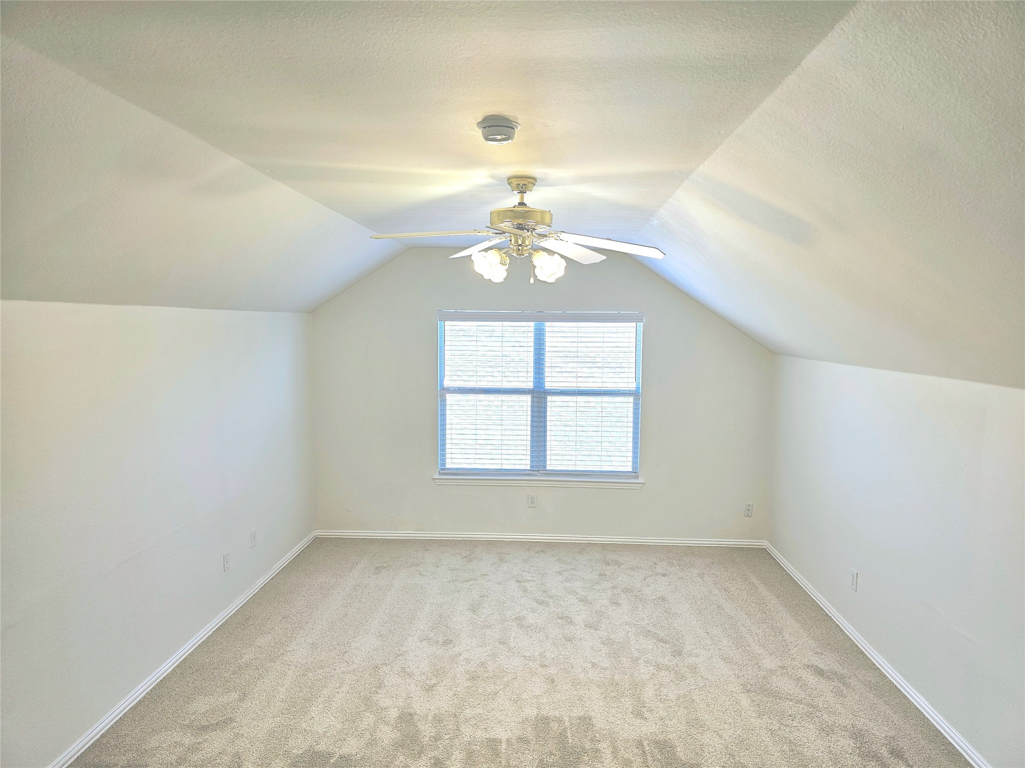 205 Misty Mesa Trail