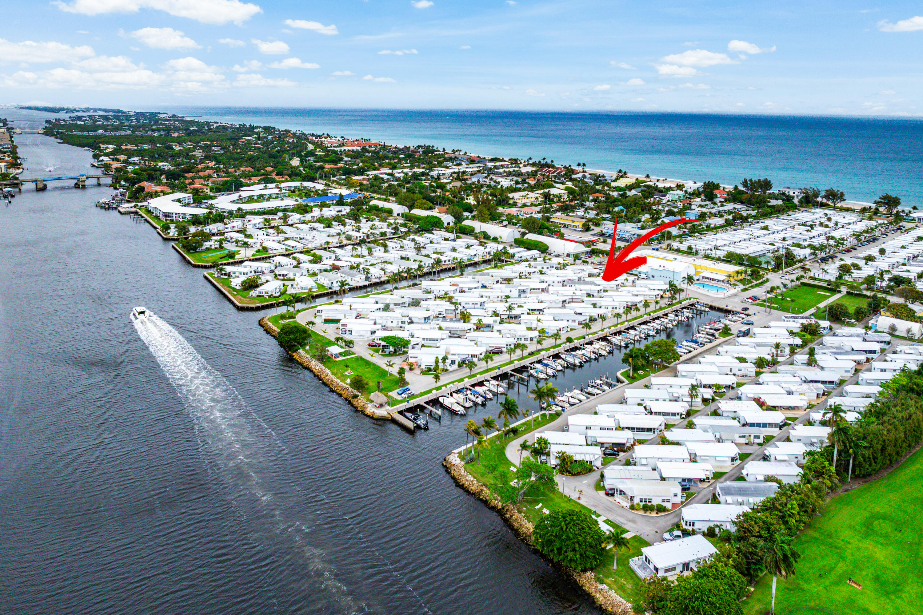 202 Palm Drive I