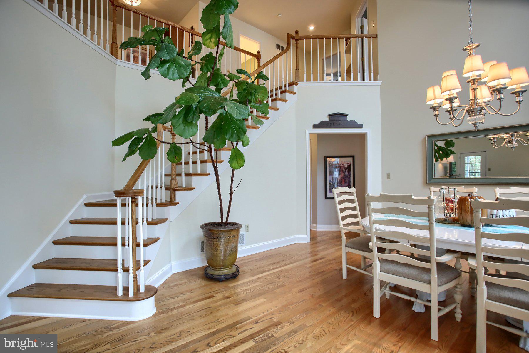 366 Schaffner Dr
