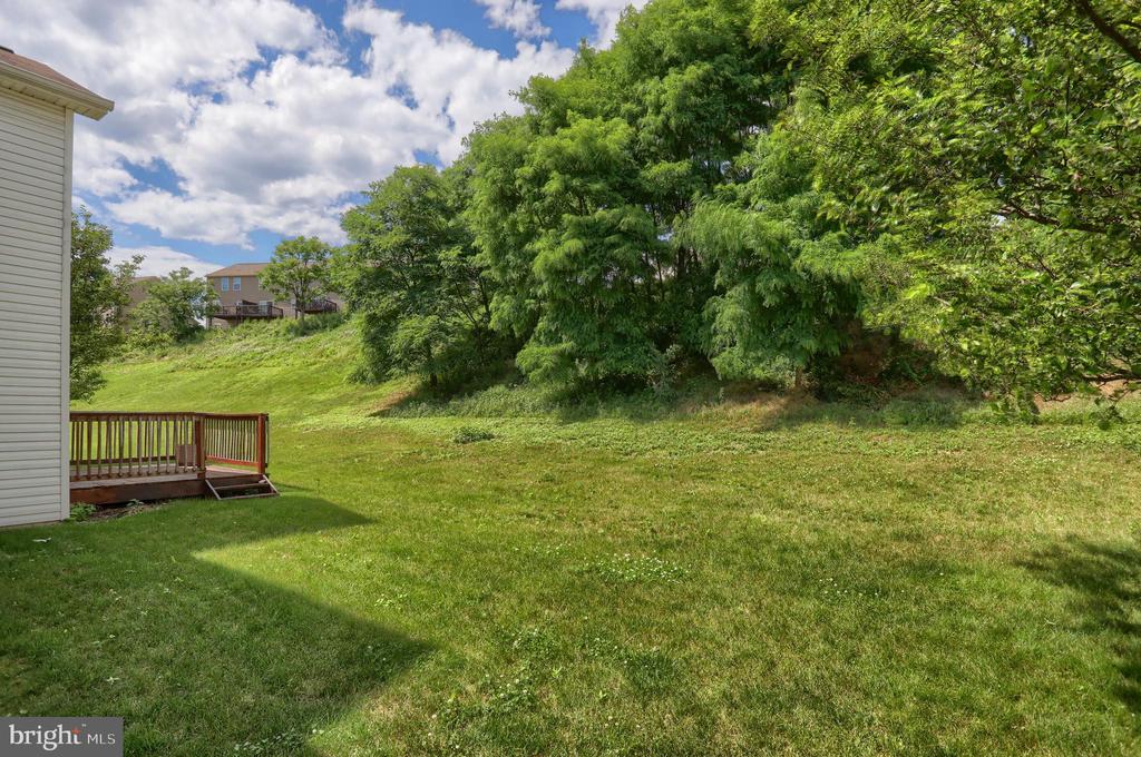 486 Princeton Rd
