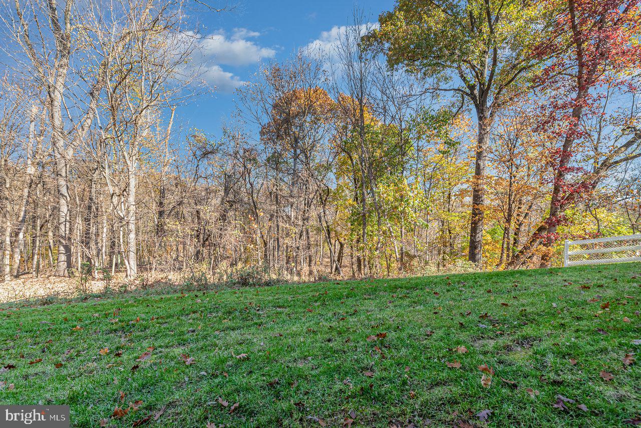 528 Rayburn Ct