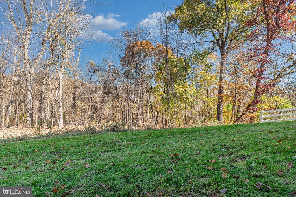528 Rayburn Ct
