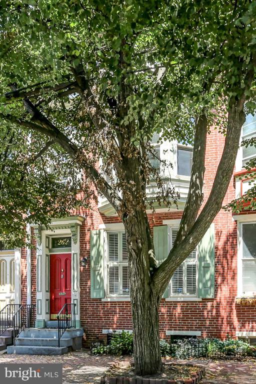 262 HERR STREET