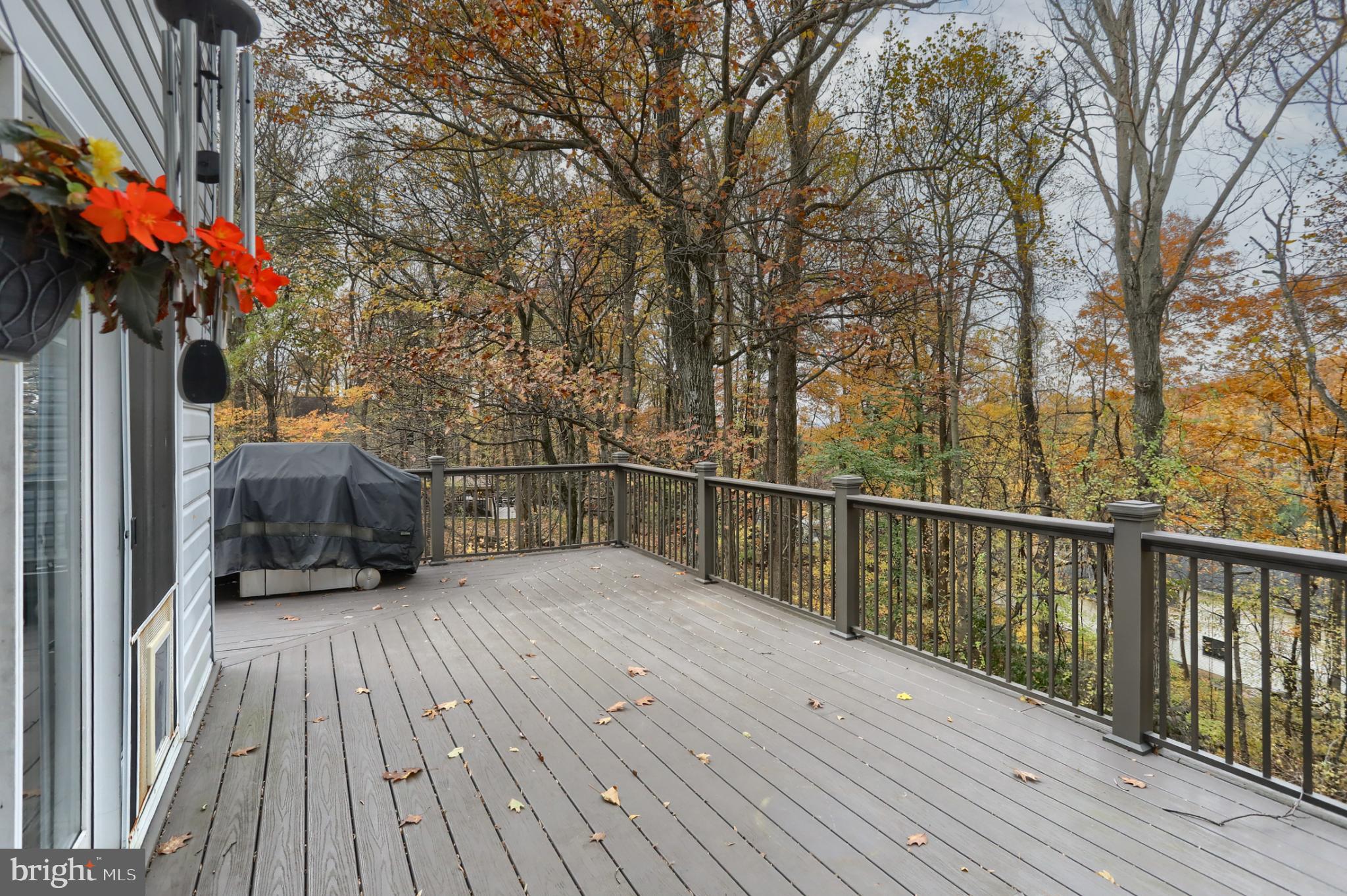 1609 SPRING HILL DRIVE