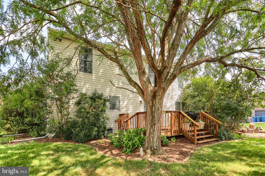 202 FOX GROVE PLACE