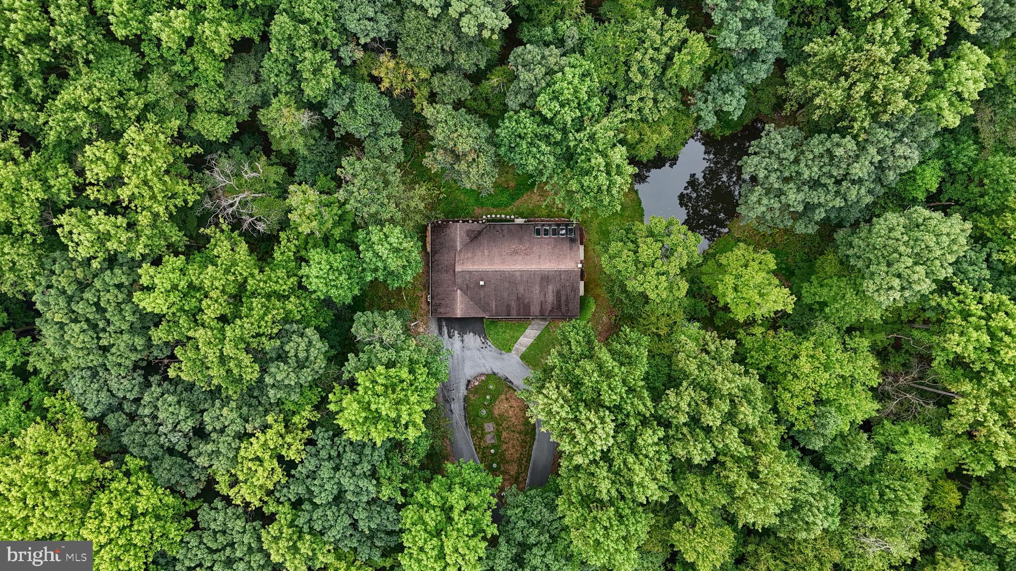 504 Hemlock Ln