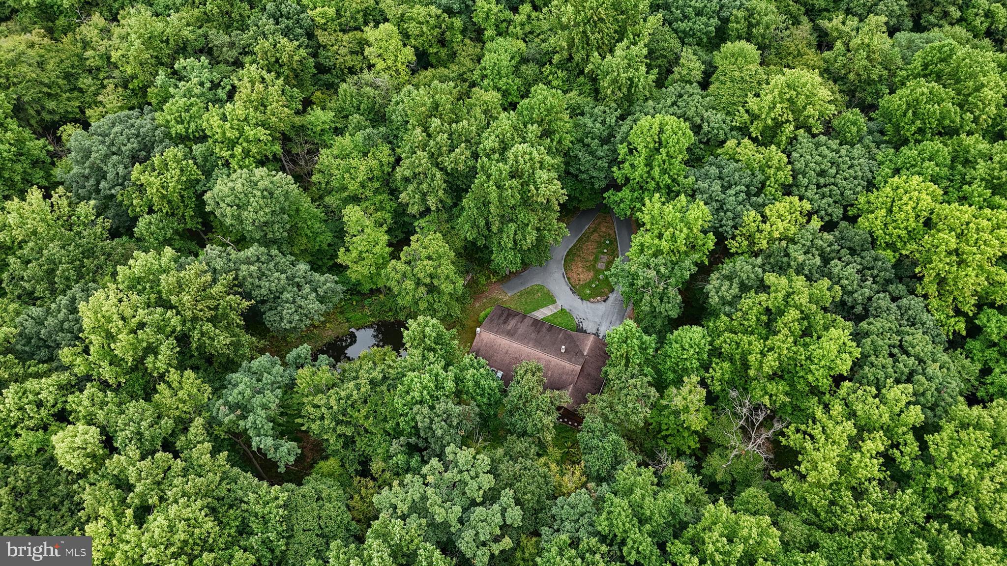 504 Hemlock Ln
