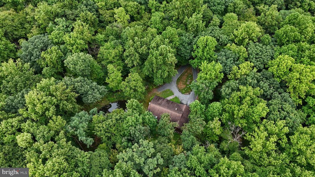504 Hemlock Ln