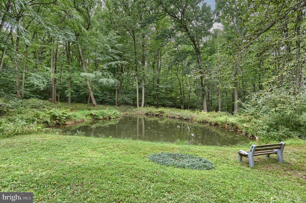 504 Hemlock Ln