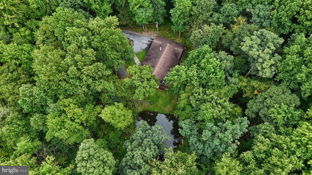 504 Hemlock Ln
