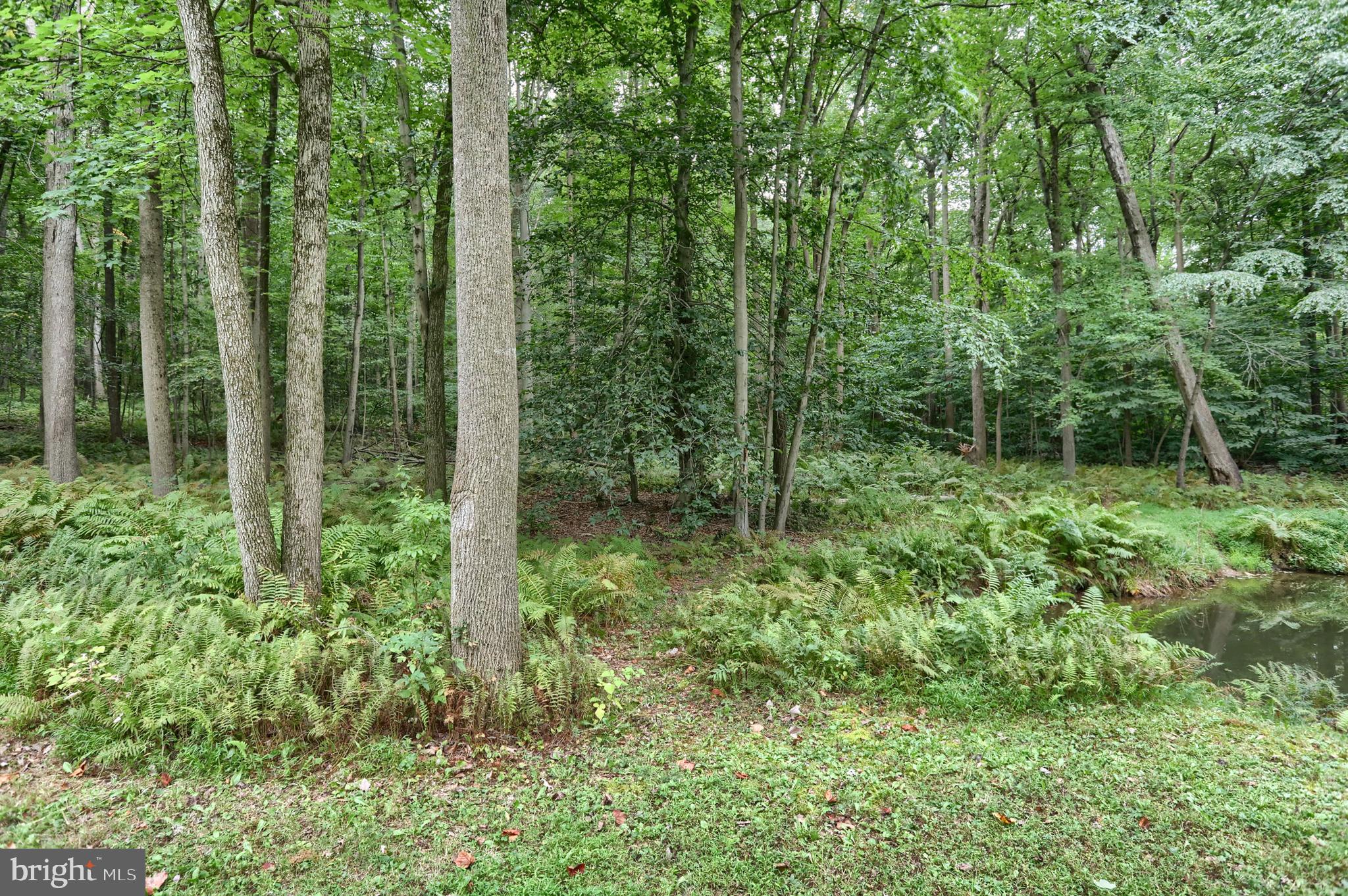 504 Hemlock Ln