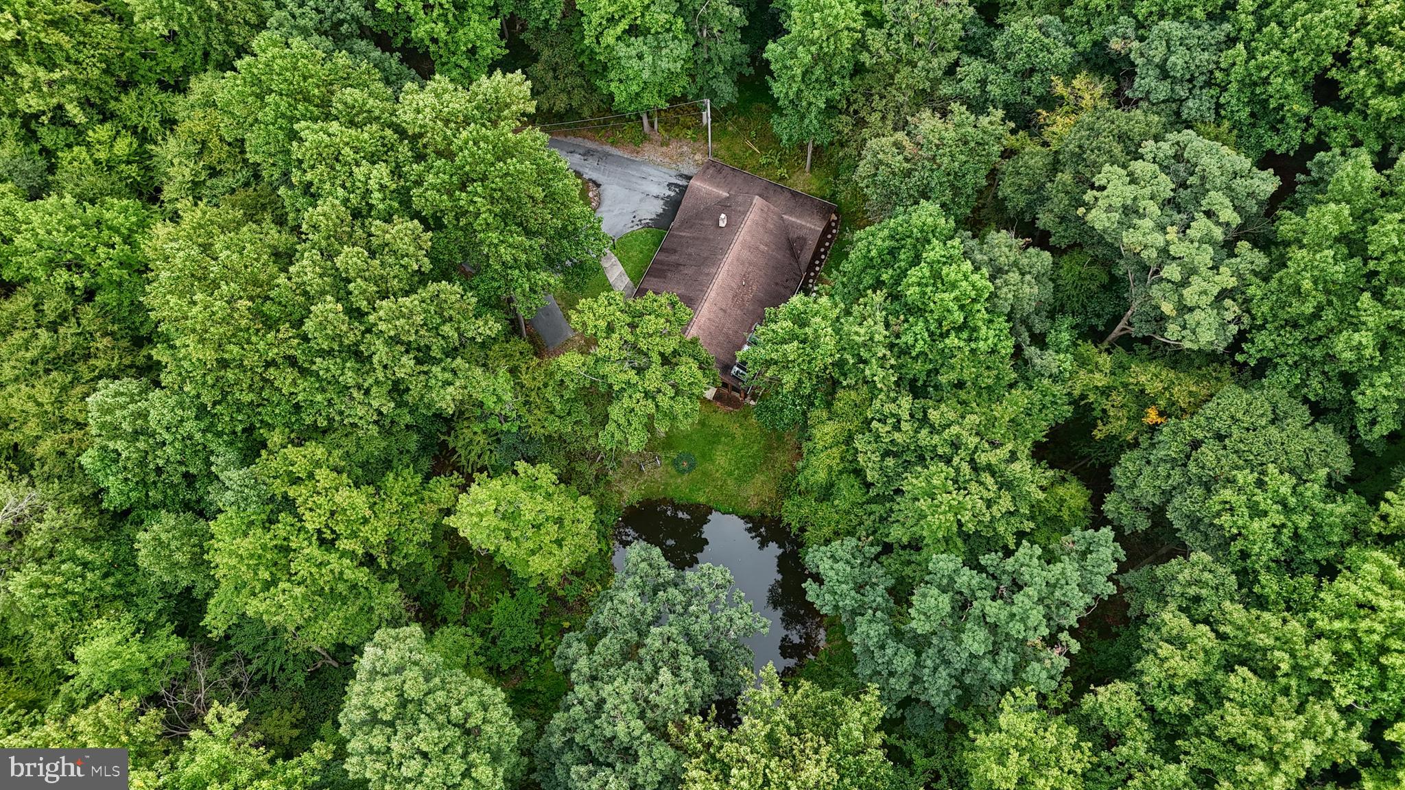 504 Hemlock Ln