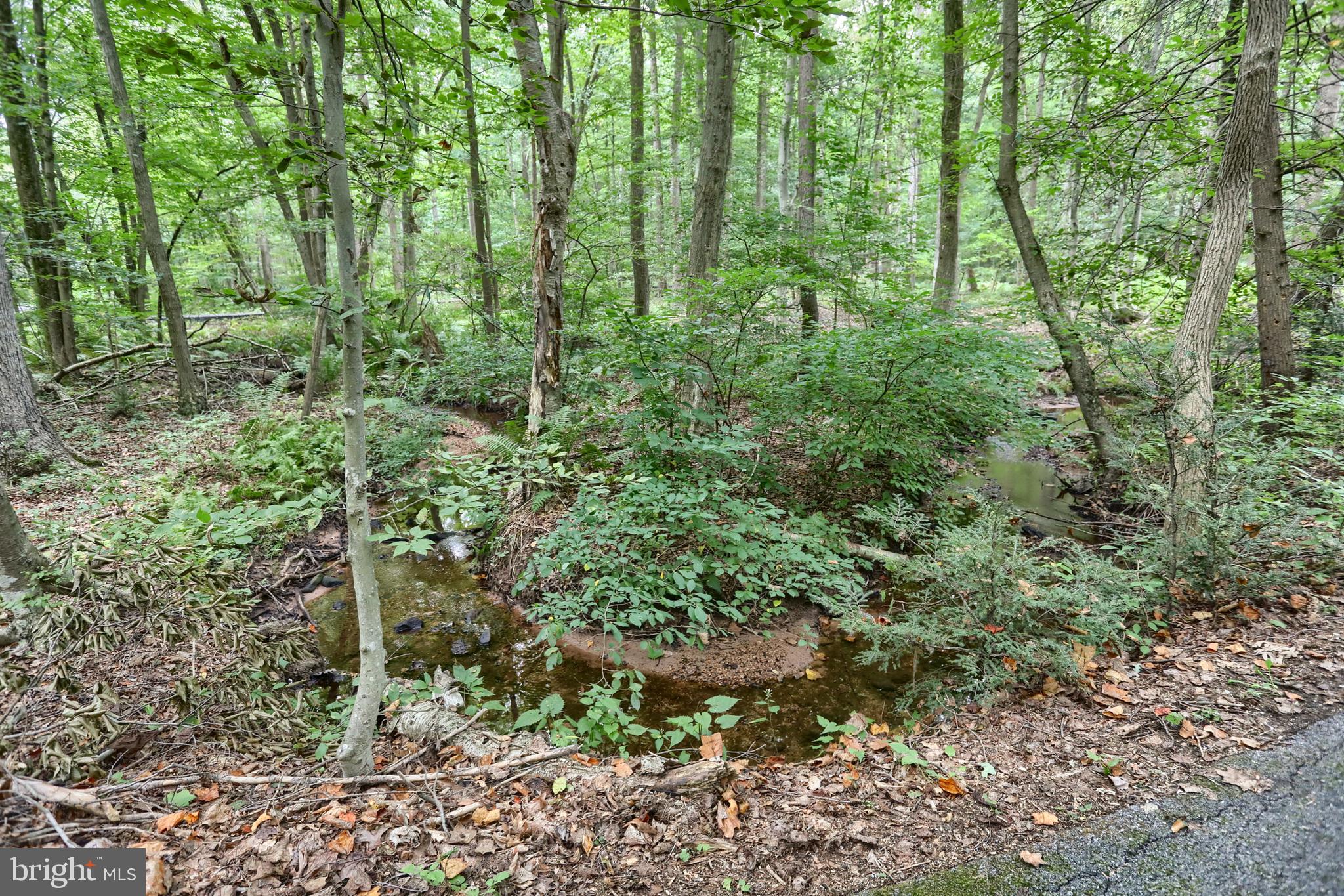 504 Hemlock Ln