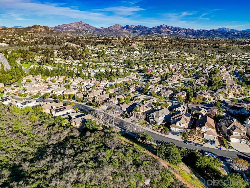 13693 Tradition Street