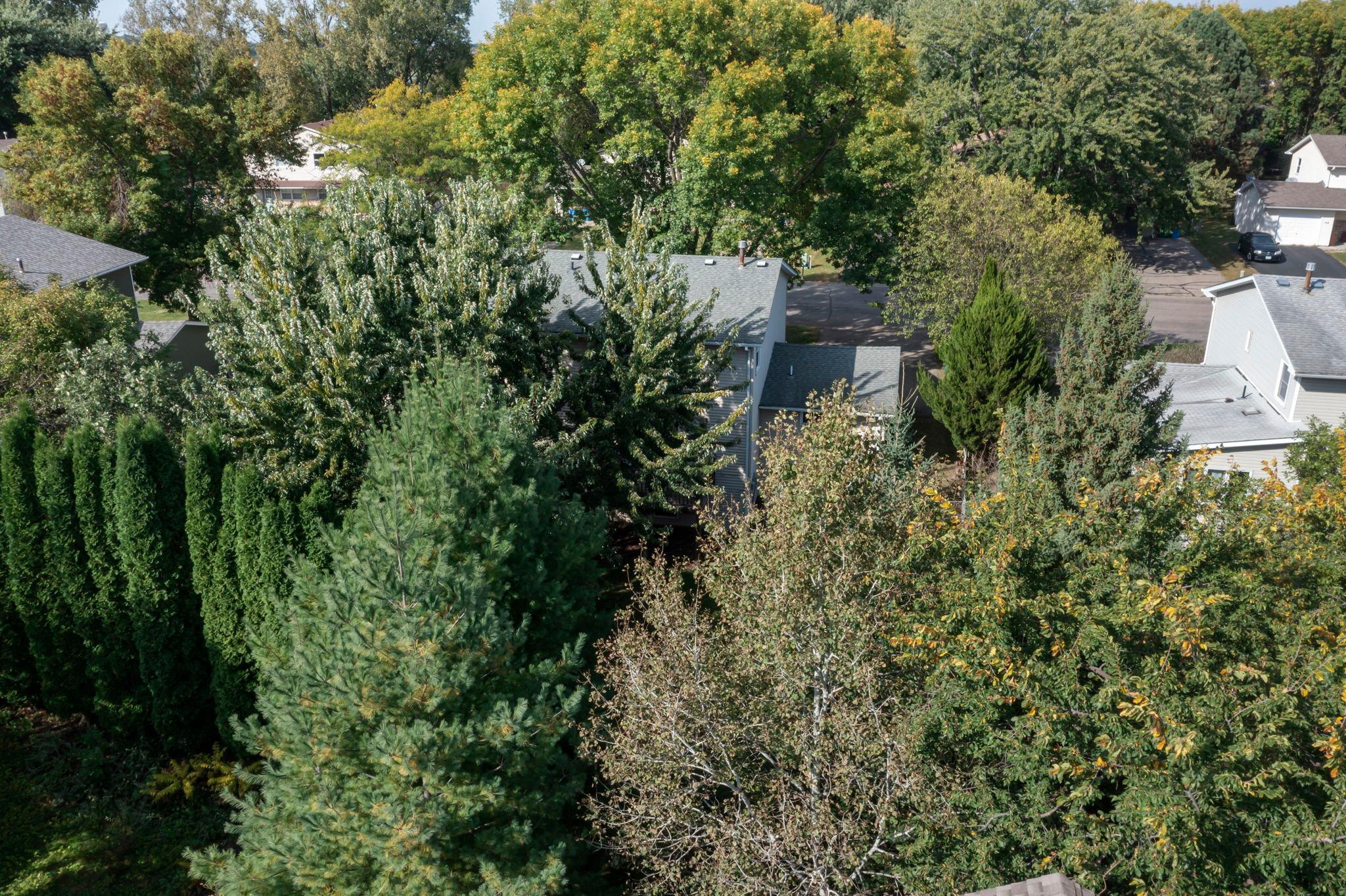 911 Ridge Drive SE