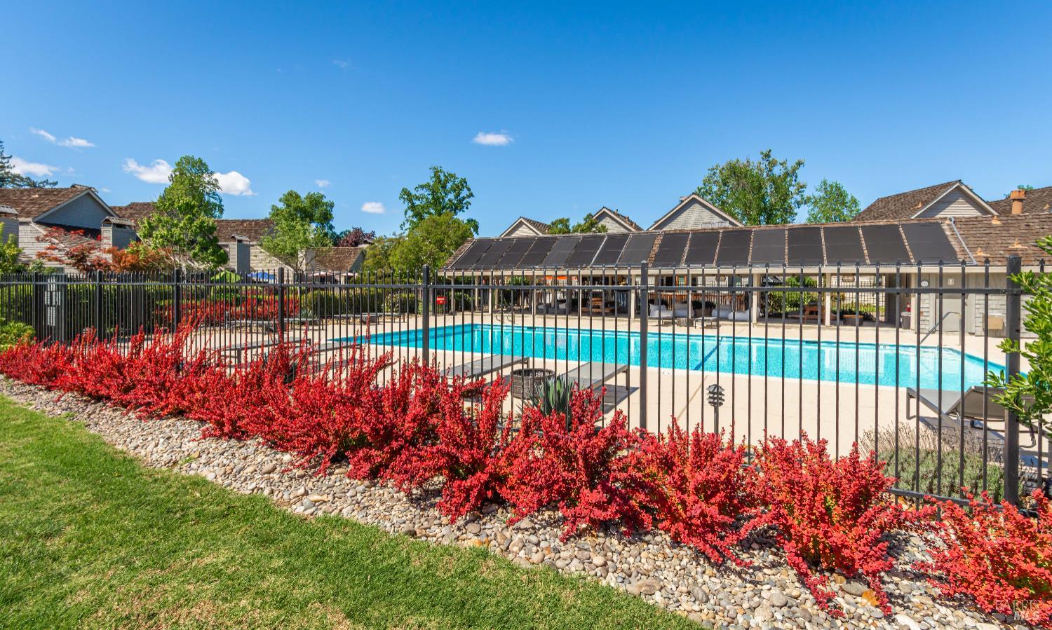 Community swimming pool behind a black fence, with a covered seating area and red flowering shrubs.