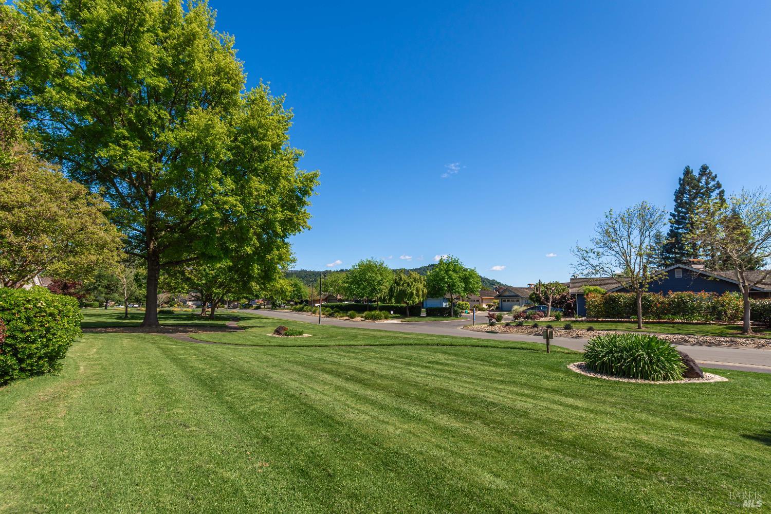 Landscaped neighborhood greenbelt with mature trees, a residential street, and homes in the distance.