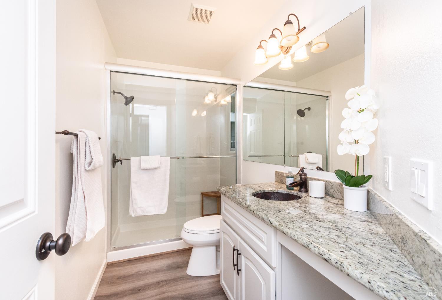 Bathroom with a glass shower and granite-topped vanity beneath a large mirror.