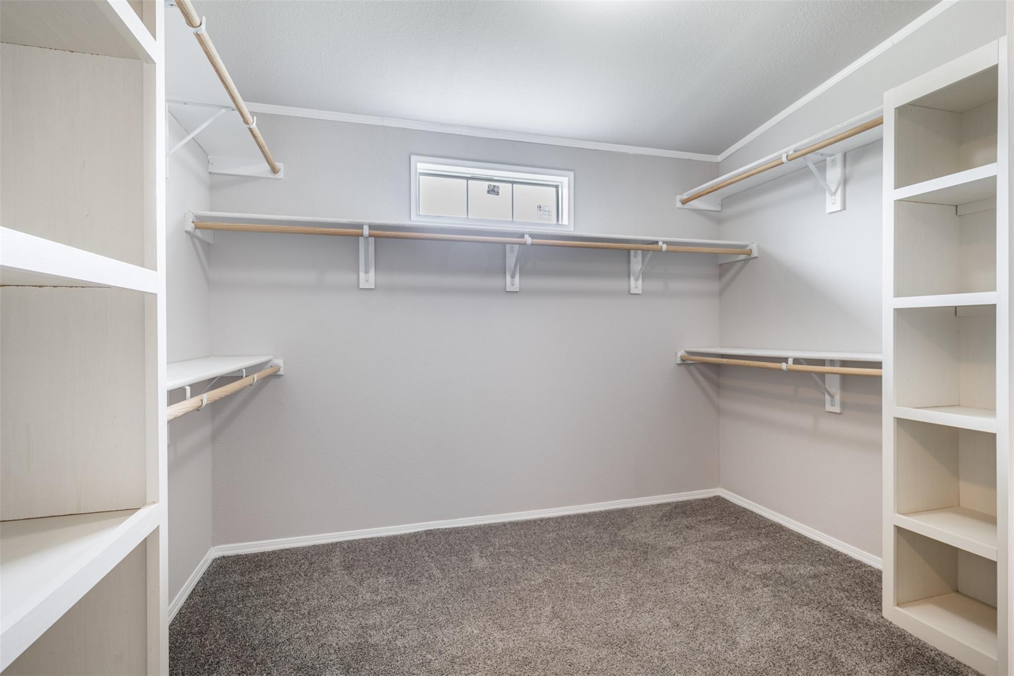 Walk-in closet with built-in shelving, clothes rods, gray carpet, and a high window.
